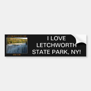 Adesivo Para Carro Folhas Intermédias do Parque Estadual Letchworth