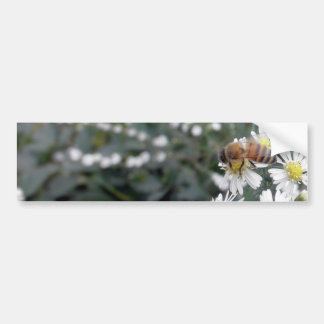 Adesivo Para Carro Foto das margaridas das flores dos Wildflowers da