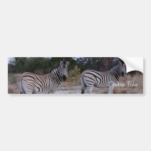 Adesivo Para Carro Foto do olhar duas vezes da zebra