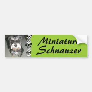 Adesivo Para Carro Foto do Schnauzer diminuto