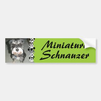 Adesivo Para Carro Foto do Schnauzer diminuto