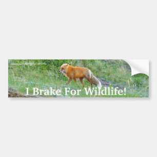 Adesivo Para Carro Fox Willife Protection Bumper Sticker
