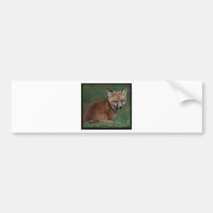Adesivo Para Carro foxkit