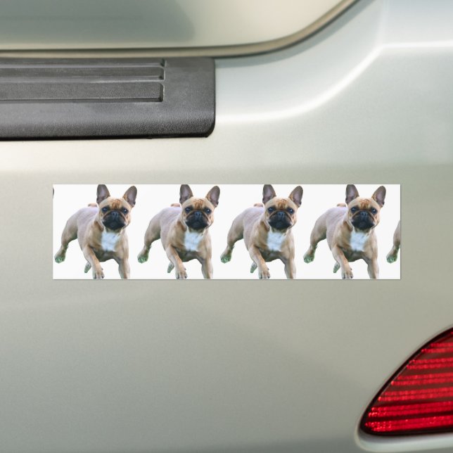 Adesivo Para Carro Französische Bulldogge Autoaufkleber (No carro)