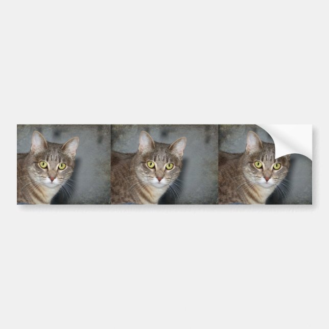 Adesivo Para Carro Fred (Frente)