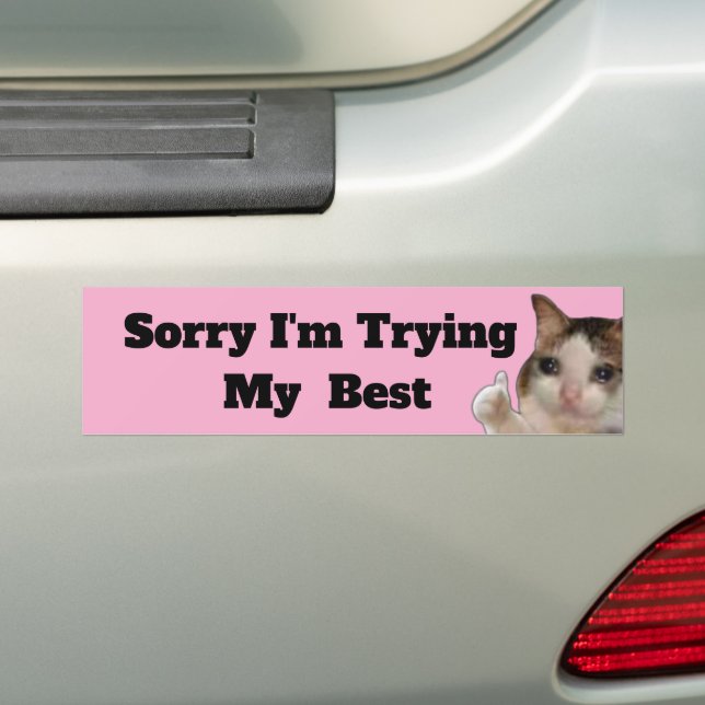 Adesivo Para Carro Funny "Sorry I'm Trying My Best" Bumper Sticker |  (No carro)