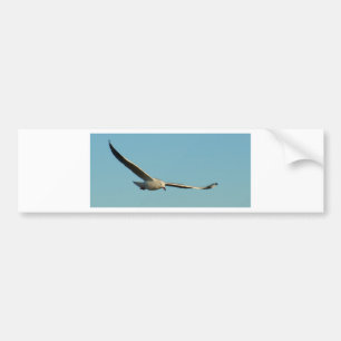 Adesivo Para Carro Gaivota de prata