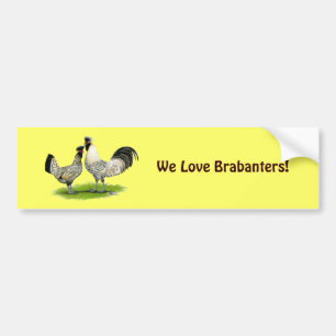 Adesivo Para Carro Galinhas de creme de Brabanter