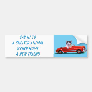 Adesivo Para Carro Gatinho em um Convertible vermelho