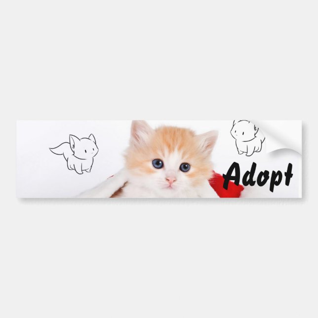 Adesivo Para Carro Gatinho Gato Cachorro Adotar Bumper Sticker (Frente)