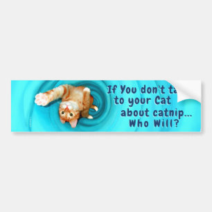 Adesivo Para Carro Gatinho Inspiration Bumper Sticker
