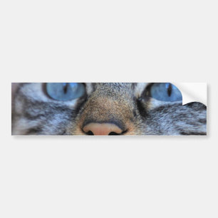 Adesivo Para Carro Gato de cinza
