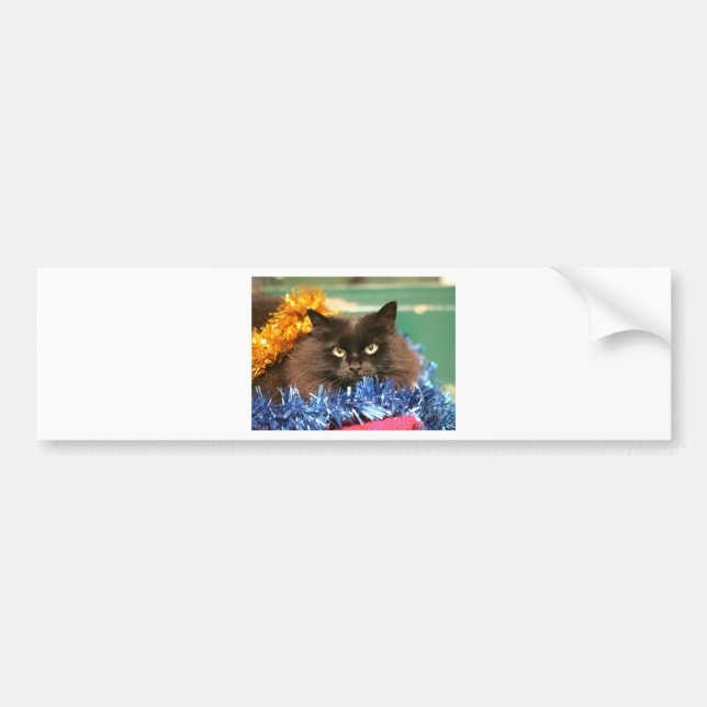 Adesivo Para Carro Gato de Natal (Frente)