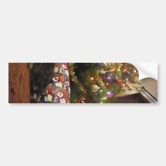 Adesivo Para Carro Gato do Natal (Frente)