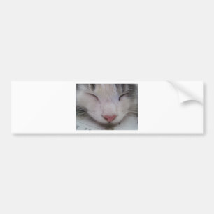Adesivo Para Carro Gato Dormindo