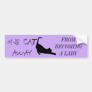 ADESIVO PARA CARRO GATO LADY