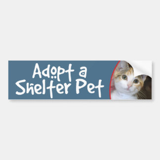 Adesivo Para Carro Gato malhado (cinzento) cinzento/autocolante no