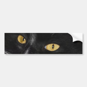 Adesivo Para Carro Gato preto