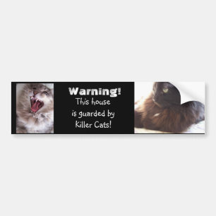 Adesivo Para Carro Gatos do Beware-Assassino