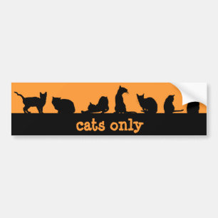 Adesivo Para Carro gatos somente