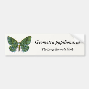 Adesivo Para Carro Geometra papilionaria - A Grande Mama Esmeralda