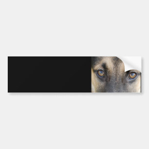 Adesivo Para Carro German shepherd