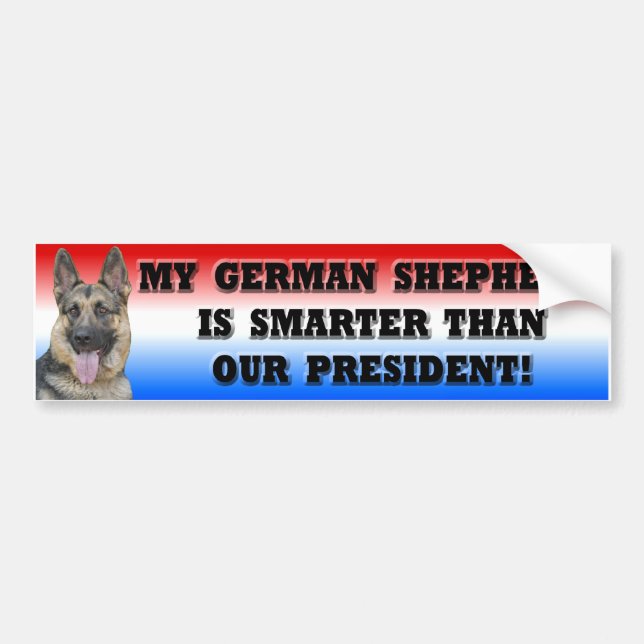 Adesivo Para Carro German shepherd mais esperto do que o presidente (Frente)