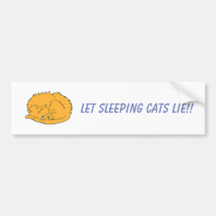 Adesivo Para Carro Ginger Cat Deixa Os Gatos Dormirem