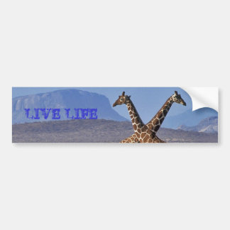 Adesivo Para Carro girafas [1], VIDA VIVA