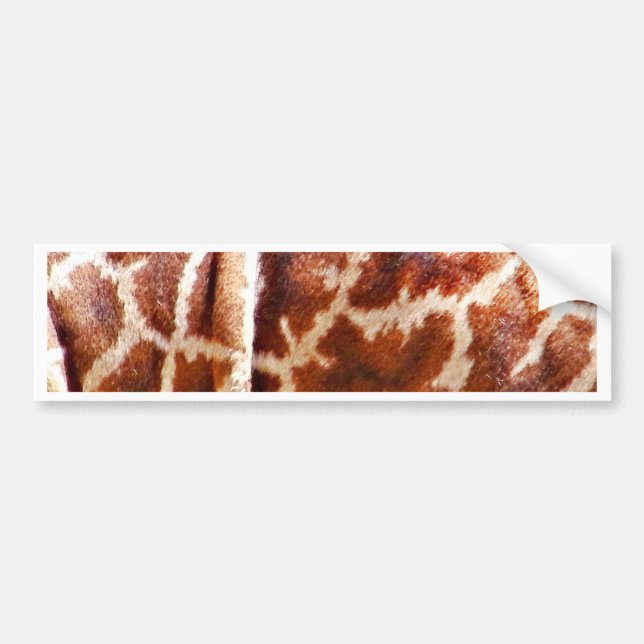 Adesivo Para Carro Giraffe Skin_ (Frente)