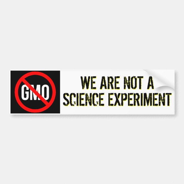 Adesivo Para Carro GMO - nós não somos uma experiência da ciência (Frente)