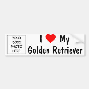 Adesivo Para Carro Golden retriever