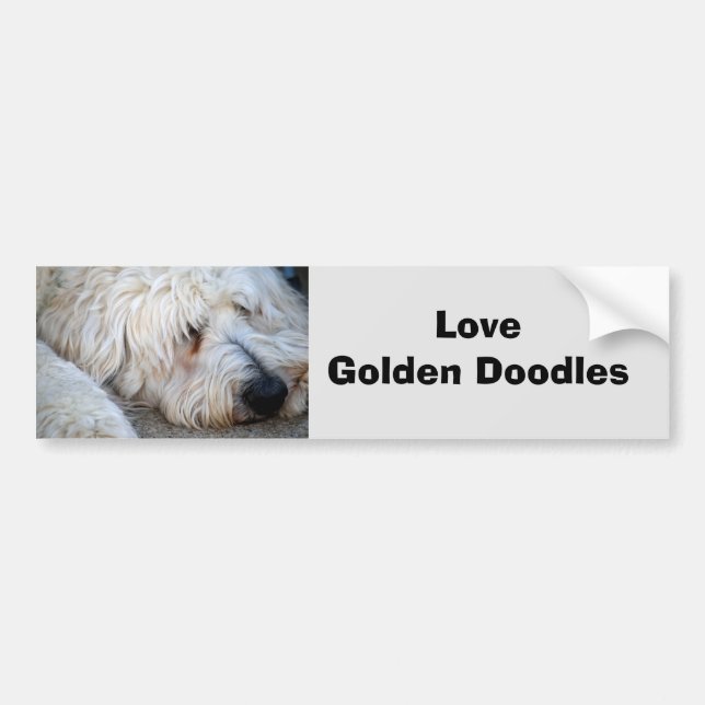 Adesivo Para Carro Goldendoodle background (Frente)