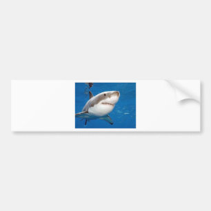 Adesivo Para Carro Grande tubarão branco