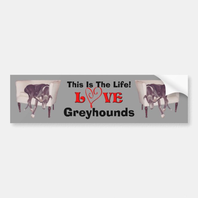 Adesivo Para Carro Greyhound Love This Is The Life Cute  (Frente)