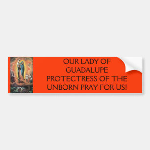 Adesivo Para Carro guadalupe, NOSSO PROTECTRESS da SENHORA GUADALUPE