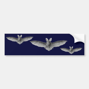 Adesivo Para Carro Haeckel Bats