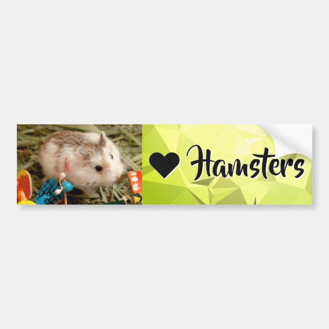 Adesivo Para Carro Hammyville - Eu Amo Hamster (Frente)