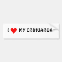 HEART1, I        MINHA CHIHUAHUA