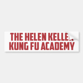 Adesivo Para Carro Helen Keller Kung Fu Academia Engraçada