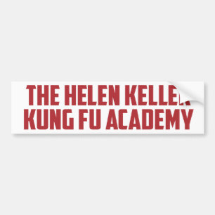Adesivo Para Carro Helen Keller Kung Fu Academia Engraçada
