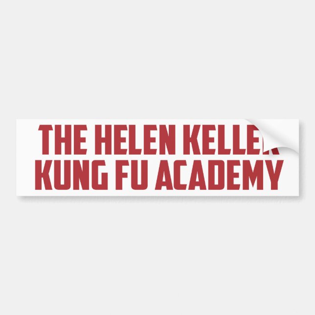 Adesivo Para Carro Helen Keller Kung Fu Academia Engraçada (Frente)