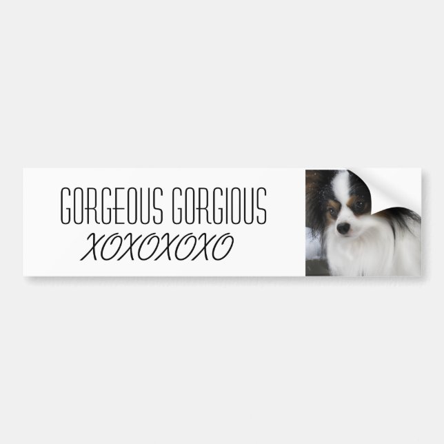 Adesivo Para Carro Herói Merch do beijo de Hershey (Frente)