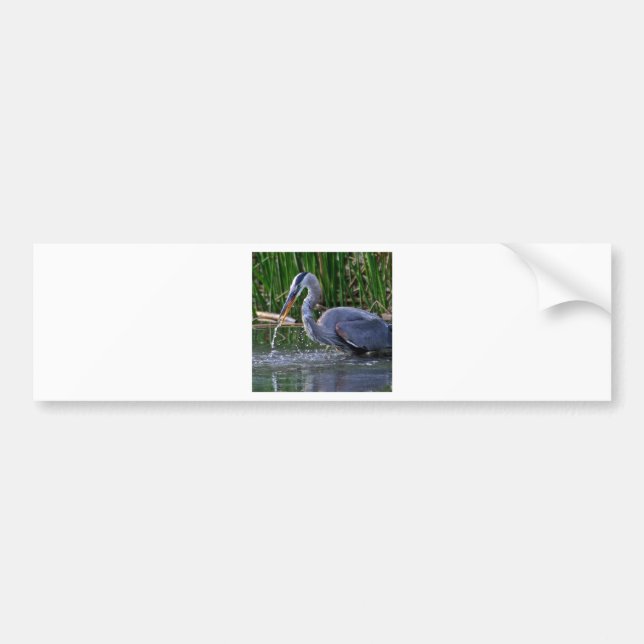 Adesivo Para Carro Heron Splash (Frente)