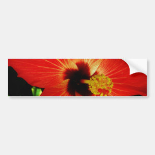 Adesivo Para Carro Hibiscus vermelho