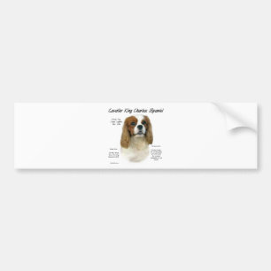 Adesivo Para Carro História do Cavalier King Charles Spaniel (Blenhei