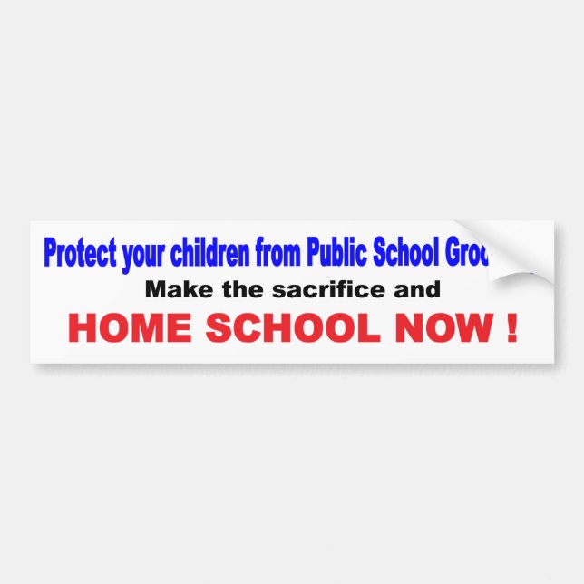 Adesivo Para Carro Home School (Frente)