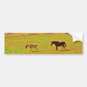 Adesivo Para Carro Horses in a Rainbow Colored Field
