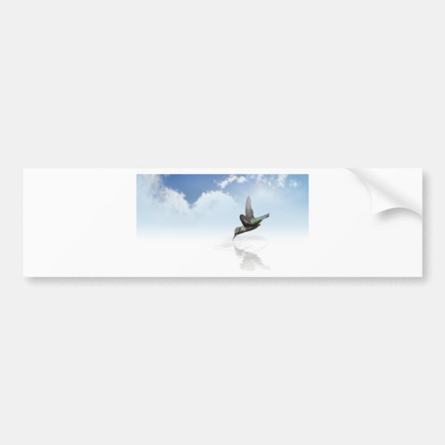 Adesivo Para Carro Hummingbird (Frente)