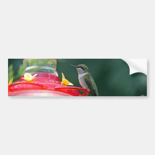 Adesivo Para Carro Hummingbird